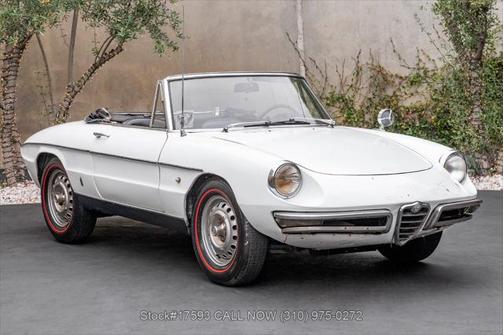1967 Alfa Romeo Giulia Spider