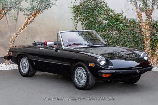 1981 Alfa Romeo Spider Veloce Convertible