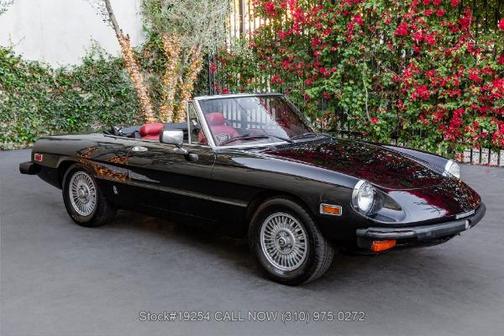 1981 Alfa Romeo Spider Veloce Convertible