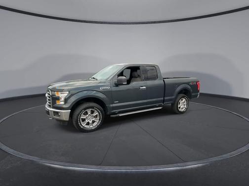 Guard Metallic 2015 Ford F-150 XLT