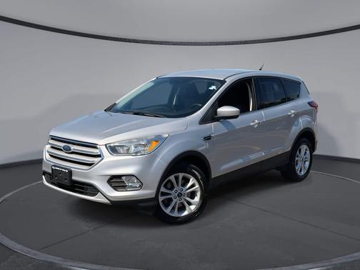 Ingot Silver Metallic 2019 Ford Escape SE