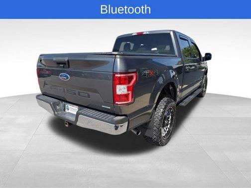 Magnetic 2019 Ford F-150 XLT