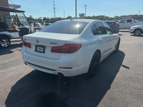 Alpine White 2019 BMW 530 xDrive