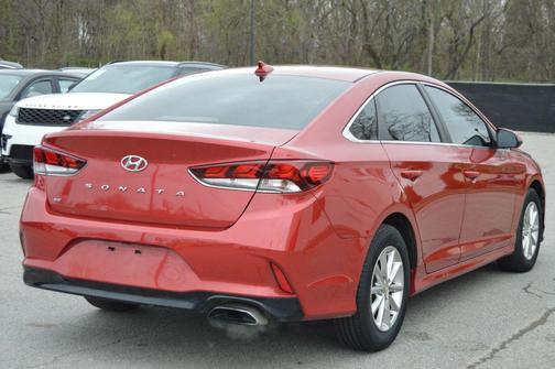 Scarlet Red 2019 Hyundai SONATA SE