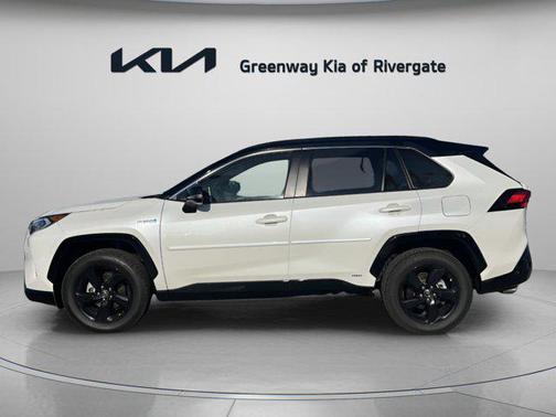 2019 Toyota RAV4 Hybrid SE