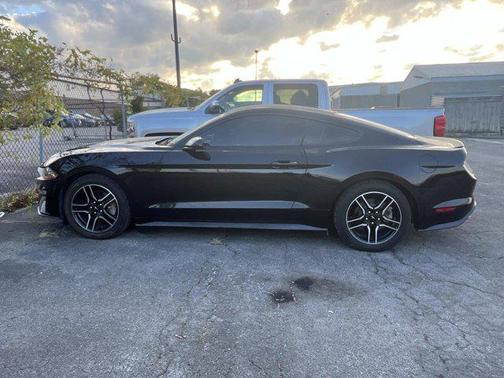 2019 Ford Mustang EcoBoost