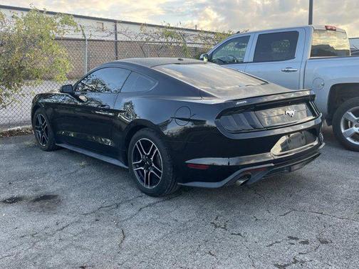 2019 Ford Mustang EcoBoost