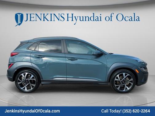 Cactus Fern 2022 Hyundai KONA Limited