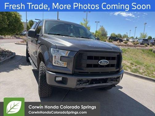 Magnetic 2016 Ford F-150 XL