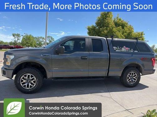 Magnetic 2016 Ford F-150 XL