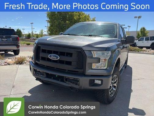 Magnetic 2016 Ford F-150 XL