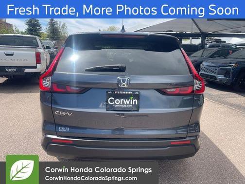 Urban Gray Pearl 2024 Honda CR-V EX
