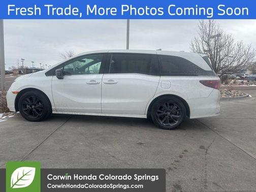 2024 Honda Odyssey Sport