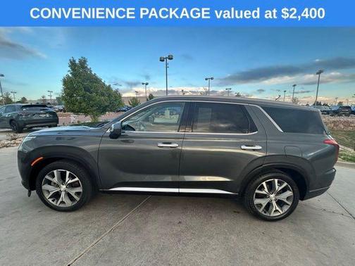 Rainforest 2021 Hyundai PALISADE SEL