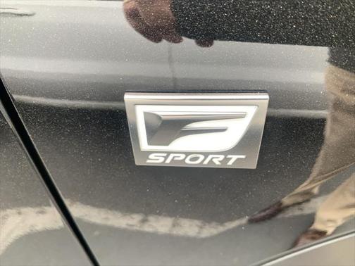2019 Lexus NX 300 F Sport