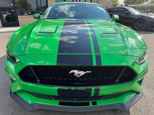 Need for Green 2019 Ford Mustang GT
