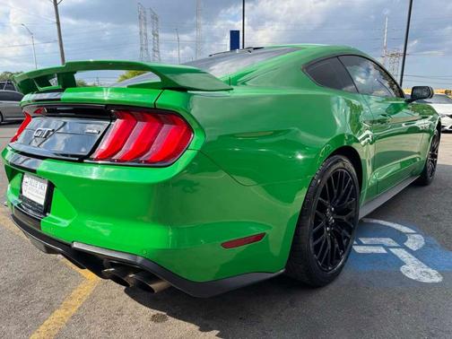 Need for Green 2019 Ford Mustang GT
