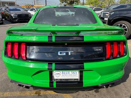 Need for Green 2019 Ford Mustang GT