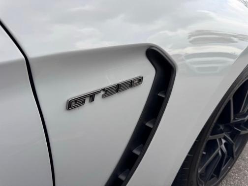 Avalanche Gray 2017 Ford Shelby GT350 Base