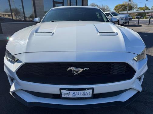 2019 Ford Mustang EcoBoost
