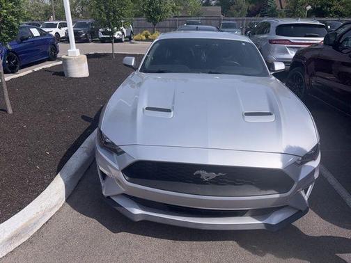 Ingot Silver Metallic 2019 Ford Mustang EcoBoost