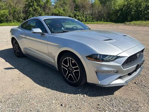 INGOT SILVER METALLIC 2019 Ford Mustang EcoBoost Premium