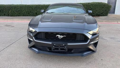 2019 Ford Mustang EcoBoost Premium