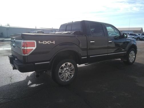 2013 Ford F-150 Platinum