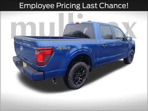 2025 Ford F-150 STX