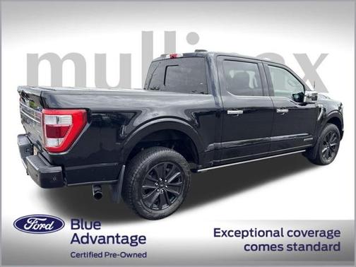 2021 Ford F-150 Platinum