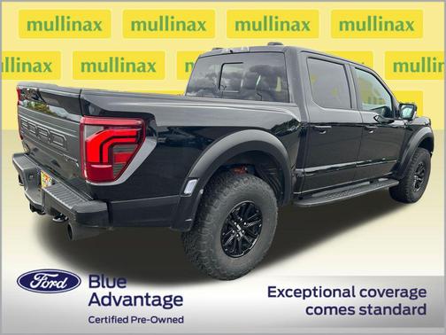 Agate Black Metallic 2024 Ford F-150 Raptor
