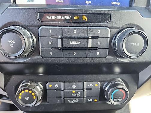 Magnetic Metallic 2020 Ford F-150 XLT