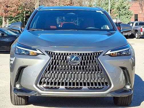 2025 Lexus NX 350 350 Base
