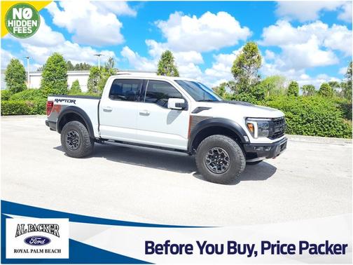 AVALANCHE 2024 Ford F-150 RAPTOR