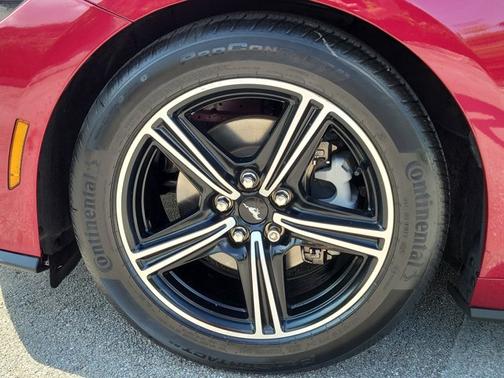 MOLTEN MAGENTA METALLIC TC 2025 Ford Mustang ECOBOOST