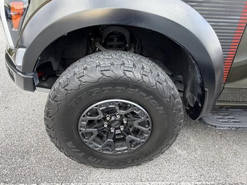 SHELTER GREEN 2024 Ford F-150 RAPTOR