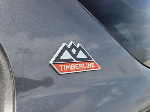 Carbonized Gray Metallic 2024 Ford Explorer Timberline