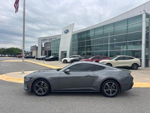 Carbonized Gray Metallic 2025 Ford Mustang EcoBoost