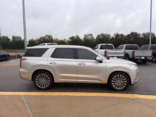 Typhoon Silver 2024 Hyundai PALISADE Calligraphy