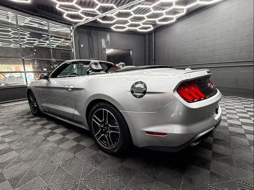 Ingot Silver Metallic 2019 Ford Mustang EcoBoost Premium