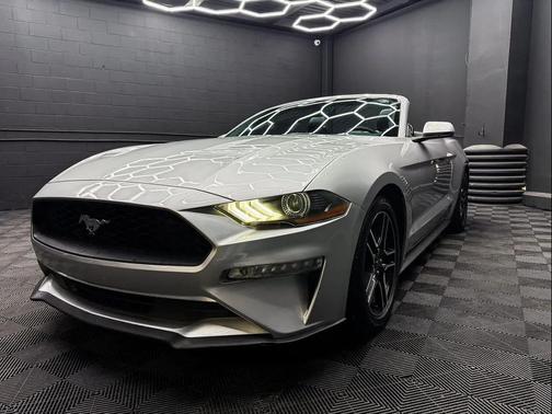 Ingot Silver Metallic 2019 Ford Mustang EcoBoost Premium