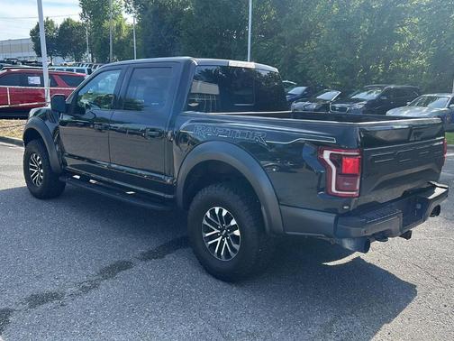 Agate Black Metallic 2019 Ford F-150 Raptor