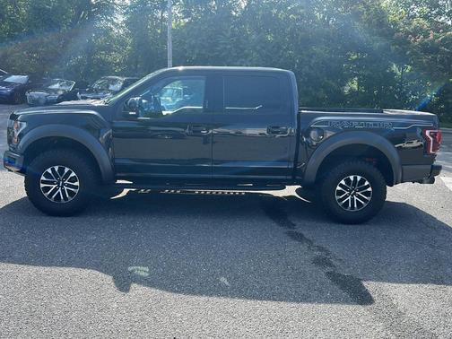 Agate Black Metallic 2019 Ford F-150 Raptor