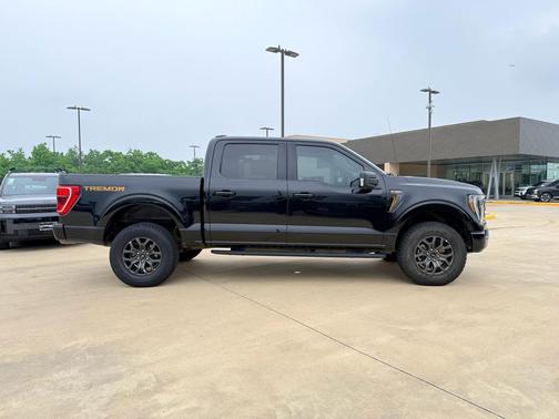 Agate Black Metallic 2023 Ford F-150 Tremor
