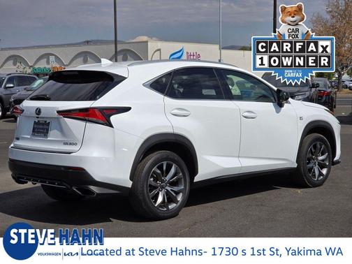 2019 Lexus NX 300 F Sport