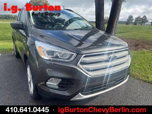 Magnetic 2019 Ford Escape SEL