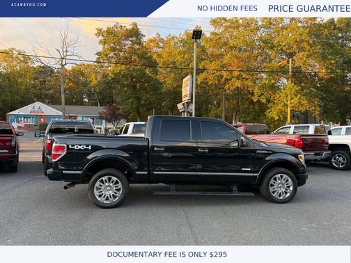 2013 Ford F-150 Platinum