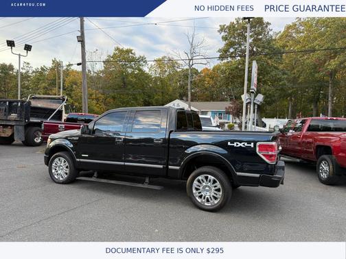 2013 Ford F-150 Platinum