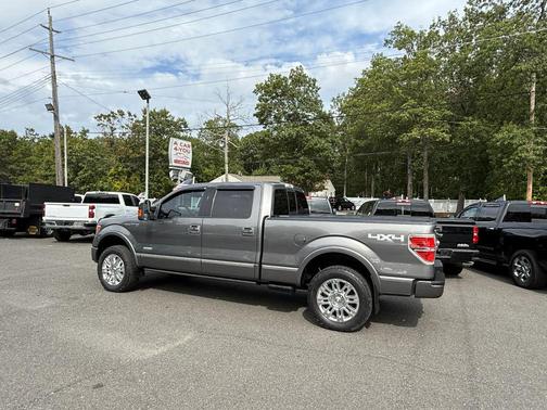 2013 Ford F-150 Platinum