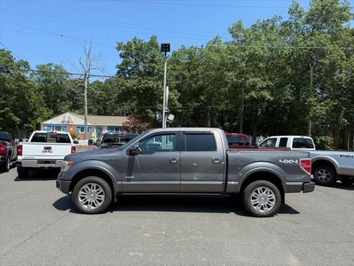 2013 Ford F-150 Platinum